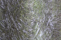 Kendal fibreglass roof work